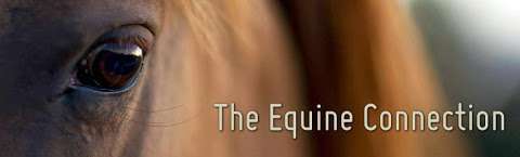 The Equine Connection Coaching Services Ltd.