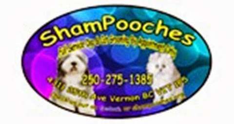 Shampooches Shampooches